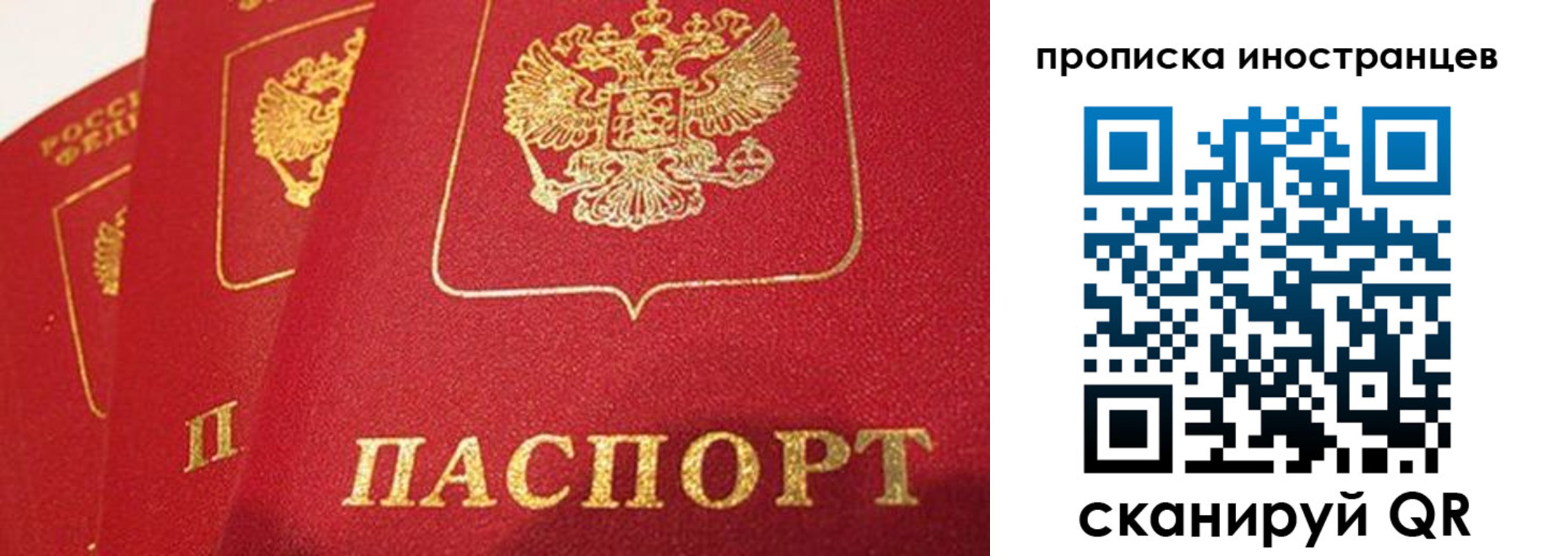 прописка поиск в Карасуке